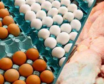 توزیع تخممرغ، گوشت وارداتی و برنج با قیمت مصوب در مشهد