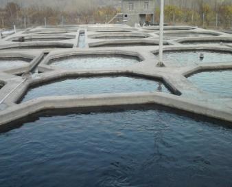 بیمه استخرها تنها راه کاهش خسارت یخبندان است