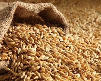 صنعت دامپروری گلستان زیر سنگینی چندبرابری قیمت نهاده ها