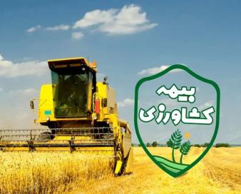 تعیین سقف اعتبارات صندوق بیمه محصولات کشاورزی در بودجه ۱۴۰۵