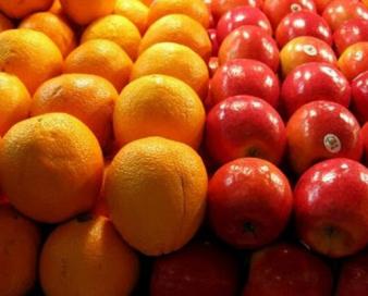 تأمین ۴۵۰ تن سیب و پرتقال ویژه رمضان در کردستان