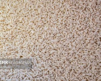 واردات برنج تسهیل شد اما نقدینگی وجود ندارد
