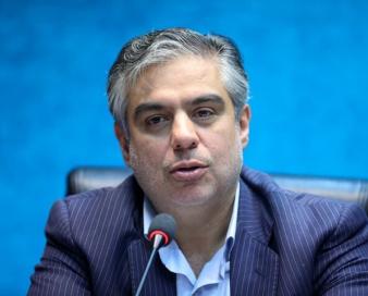 زندیه وکیلی: بازرسی‌ میدانی کارگاه‌ها برای صیانت از اشتغال ضروری است