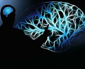 چاکرای باز و عقل بسته