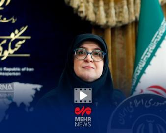 مهاجرانی: کاهش تعرفه واردات خودرو در دستور کار است