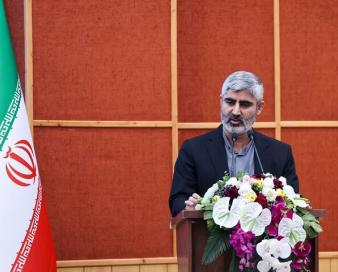 بیگدلی: بحران «رضایت خودرو» با ورود جدی وزارت صمت تعیینتکلیف شود