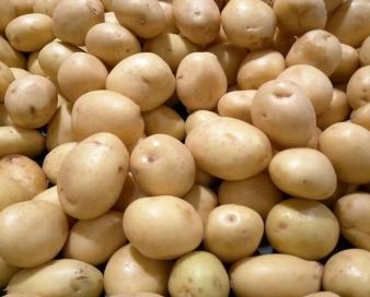 گرانی در بازار کالاهای اساسی، سرانه مصرف سیب‌زمینی را ۴۰ کیلوگرم کرد