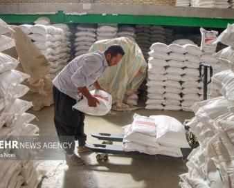 چرا دستور پزشکیان برای پرداخت نصف مطالبات کالاهای اساسی اجرا نمیشود؟