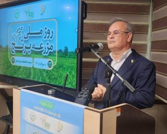 گل محمدی: سالانه ۱۸ میلیون مترمکعب آب با ضایعات برنج هدر می رود