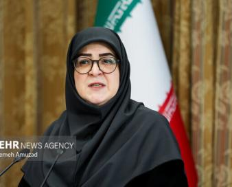 مهاجرانی: سهمیه یارانه‌ای بنزین خانوارها حفظ خواهد شد