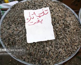 صادرات ۱۵ محصول کشاورزی آزاد شد