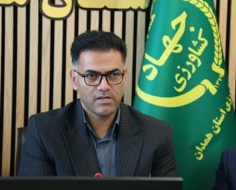 خرید ۳۷۰ هزار تن گندم از گندمکاران همدانی