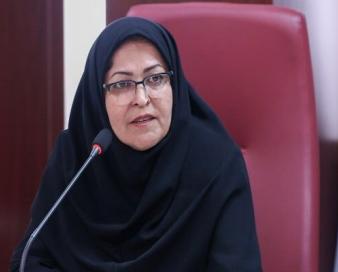 انصاری: صادرات را برای تولیدکنندگان قانونمدار تسهیل می‌کنیم