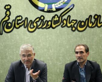 فلسفی: فناوری انتقال جنین وابستگی دامپروری به واردات را کاهش می‌دهد