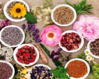 صادرات ۲۹ هزار تن گیاهان دارویی به اتحادیه اروپا