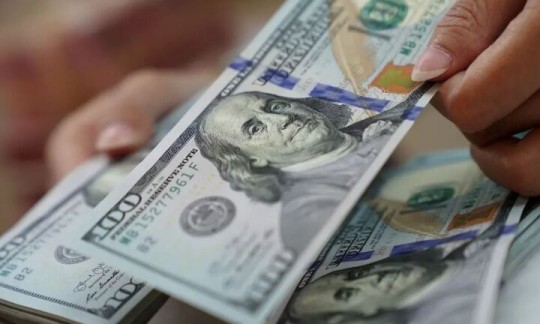 فروش دلار سهمیه‌ای چقدر ضرب بازار ارز را گرفت؟